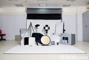 探索專業(yè)攝影服務的多樣世界